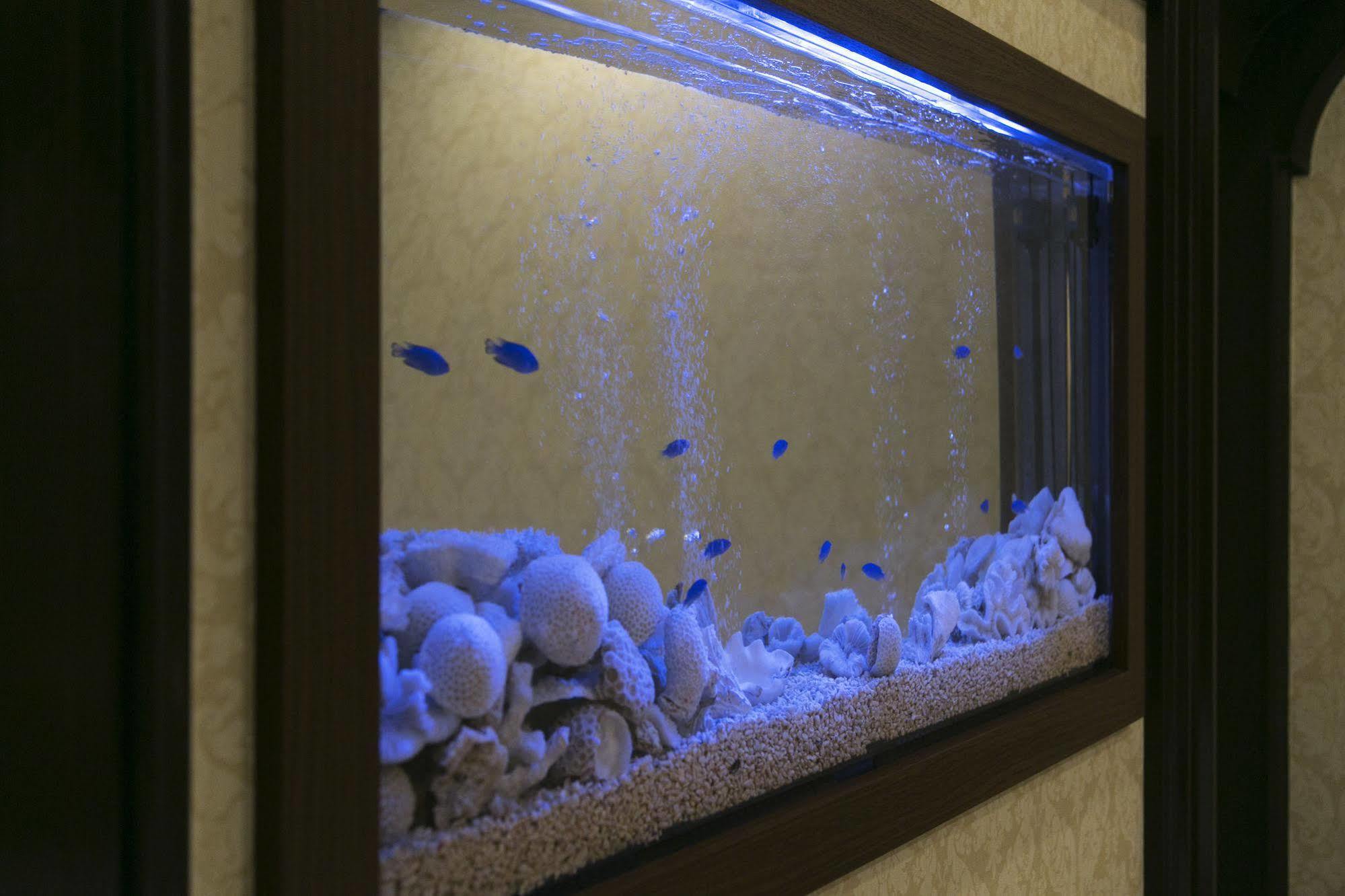 Hotel Atlantis Toyonaka (Adults Only) Екстериор снимка